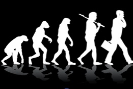 Evolution of the species: From CMO to chief digital officer