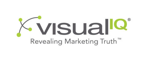 visual iq logo